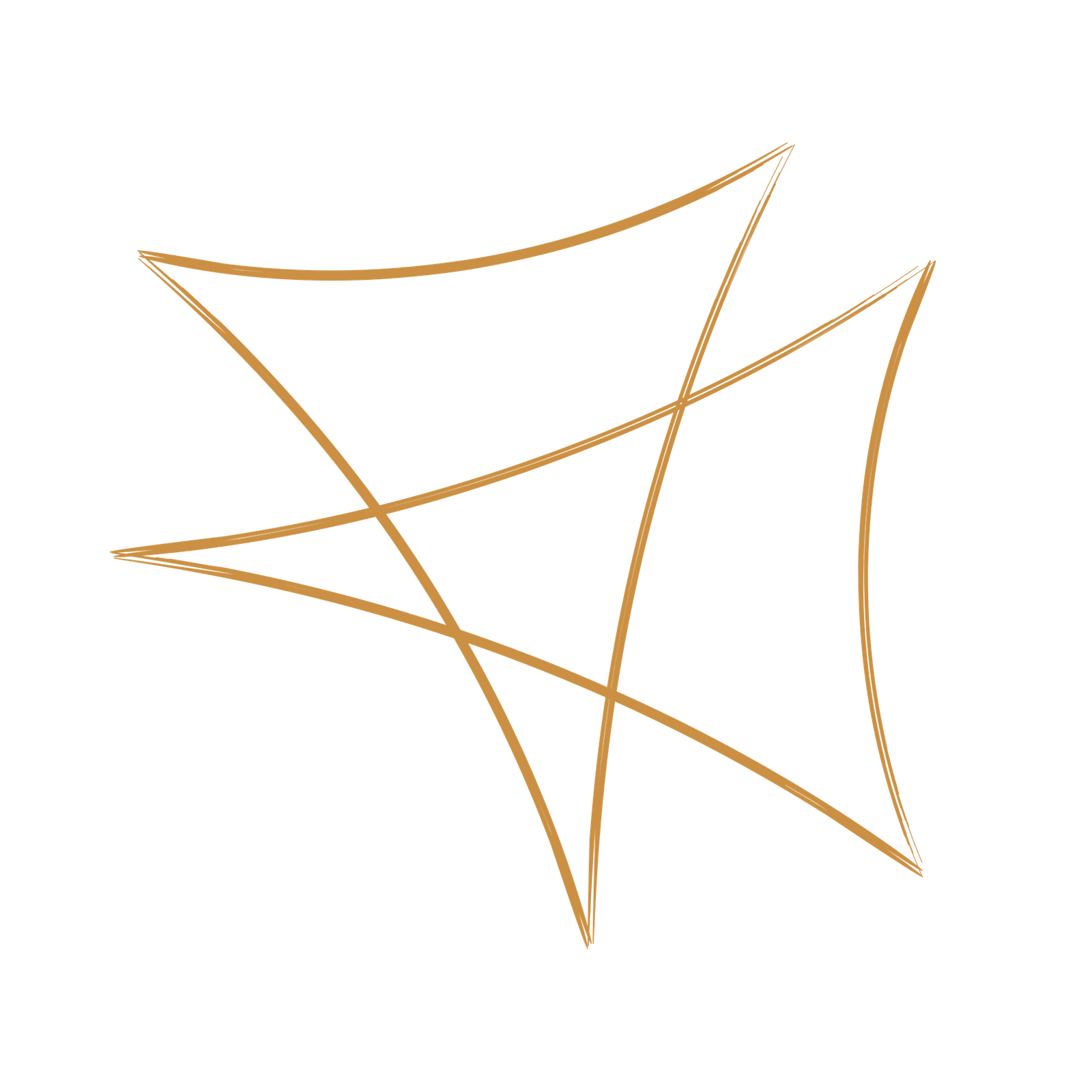 Icon 1